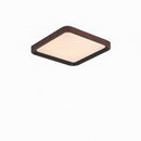 Ireniel | Ceiling Mounted Light