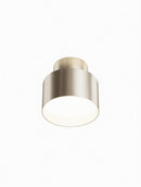 Elwynmire I Semi Flush Mounted Light