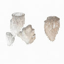Ilyssanor I Cluster Chandelier