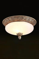 Elarithra | Ceiling Mounted Light