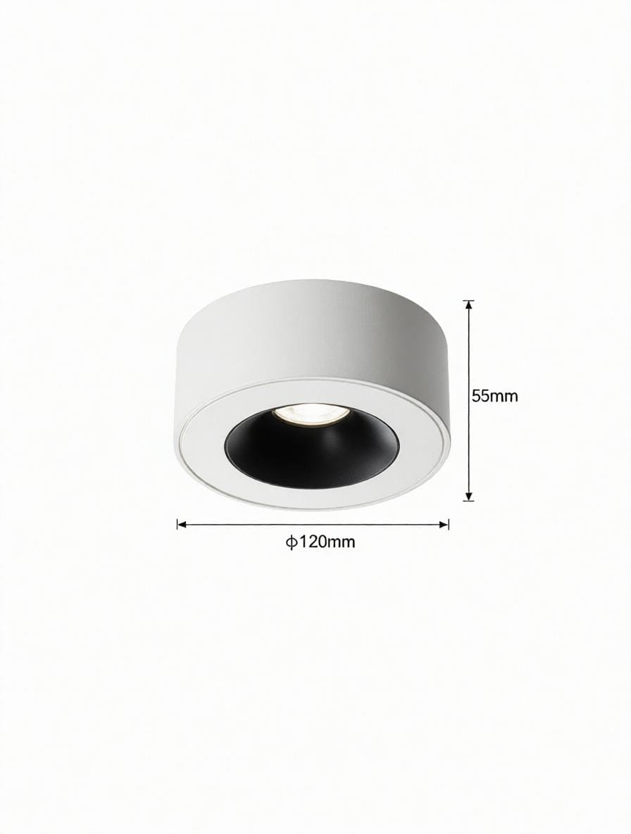 Sylarenil | Surface Mounted Light