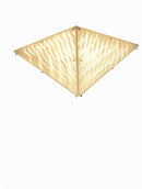 Eloweth | Ceiling Mounted Light