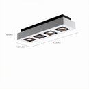 Ralvenith B | Surface Mounted Light