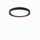 Blunden | Ceiling Mounted Light
