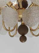 Veylenora B | Pendant Light