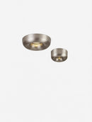 Darielth I Ceiling Mounted Light