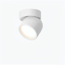 Jorvenithae | Surface Mounted Light