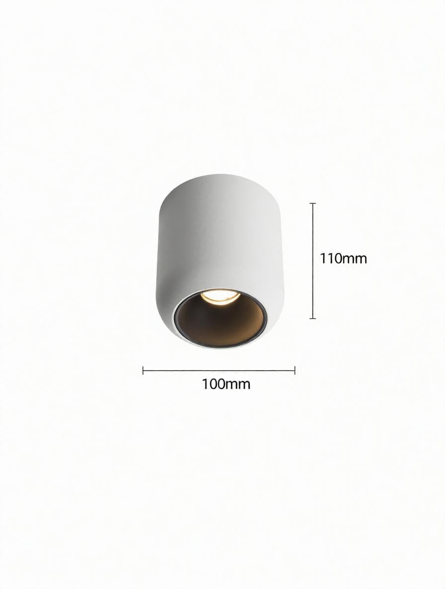 Lyrellanora | Surface Mounted Light