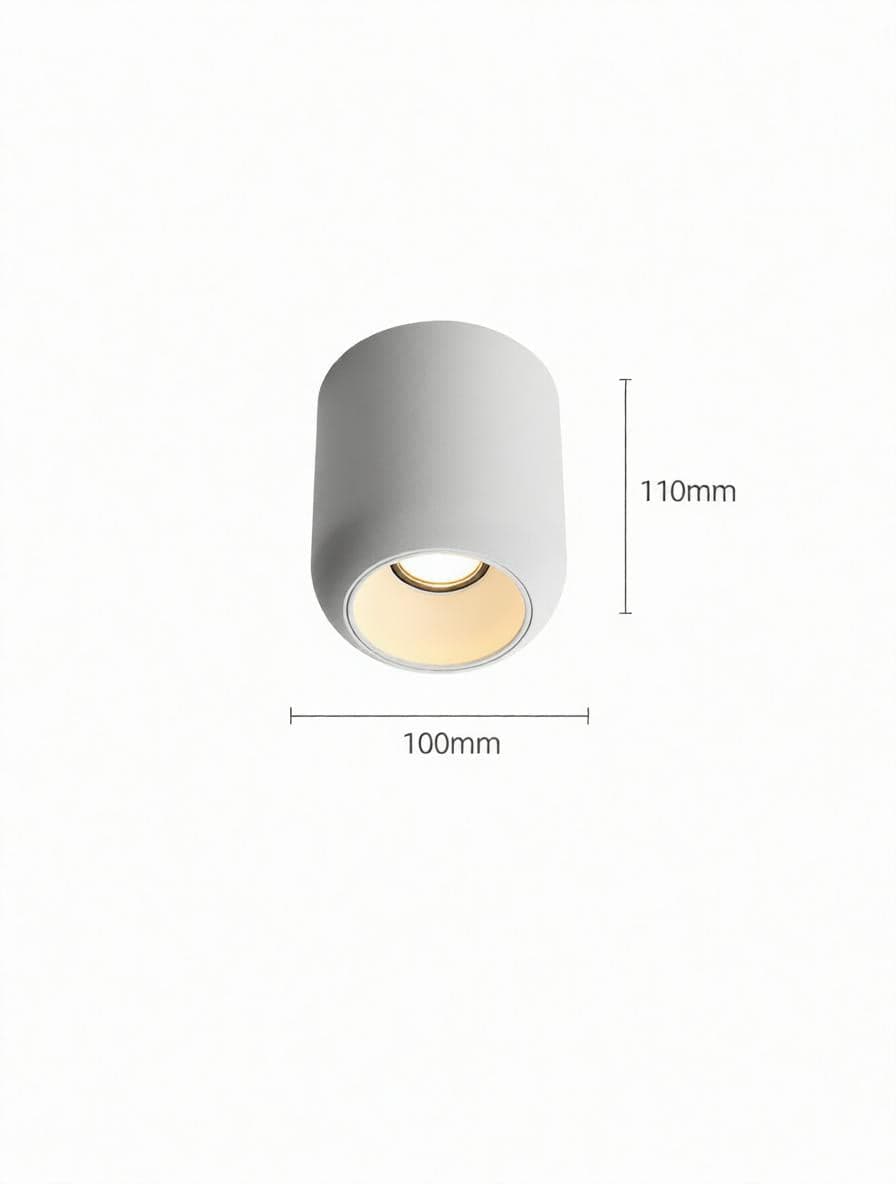 Lyrellanora | Surface Mounted Light
