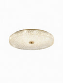 Metscher | Ceiling Mounted Light