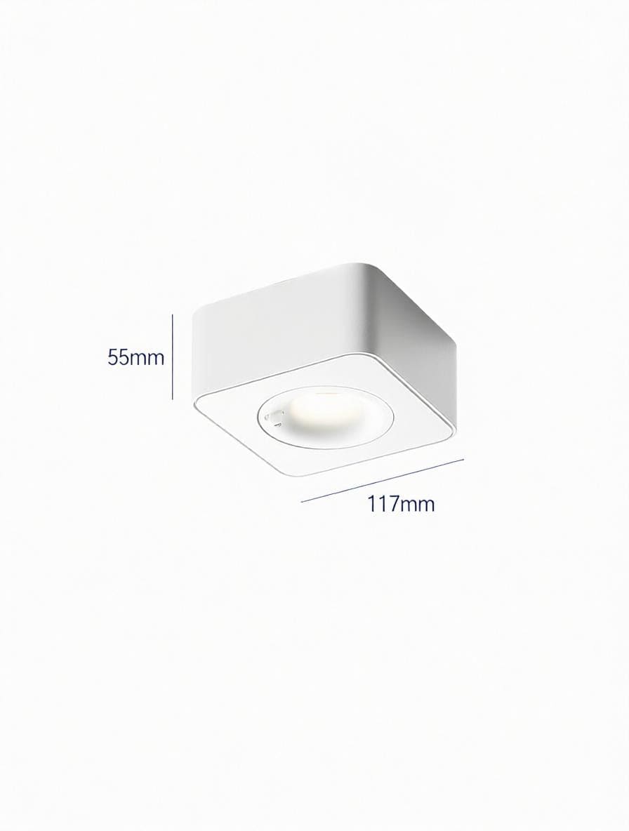 Torvalynor | Surface Mounted Light