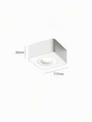 Torvalynor | Surface Mounted Light