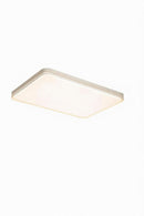 Brovont Deux | Ceiling Mounted Light