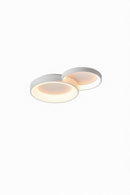 Progar 2 | Ceiling Mounted Light