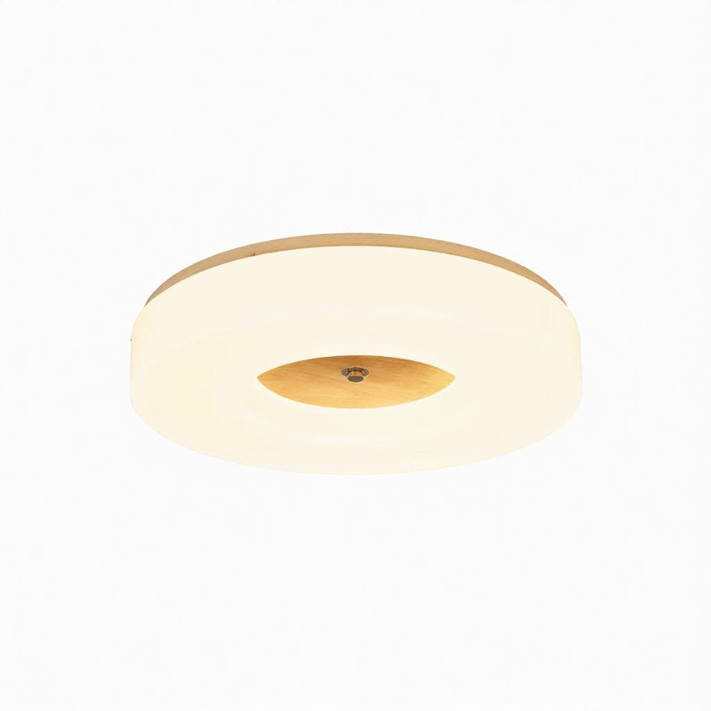 Lirianne | Ceiling Mounted Light