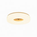 Lirianne | Ceiling Mounted Light