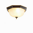 Oryndar | Ceiling Mounted Light