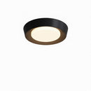 Haugrud | Ceiling Mounted Light