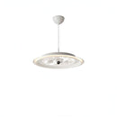 Rarimir | Pendant Light