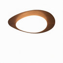 Trelisun | Ceiling Mounted Light
