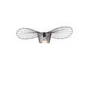 Rynashe | Semi Flush Mounted Light
