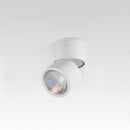 Lyrvenoria | Surface Mounted Light