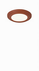 Gibo | Ceiling Mounted Light