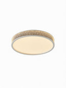 Virendre Une | Ceiling Mounted Light