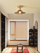 Daryllor I Semi Flush Mounted Light