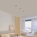 Lyrellanora | Surface Mounted Light