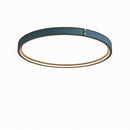 Minerich | Ceiling Mounted Light