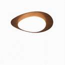 Trelisun | Ceiling Mounted Light