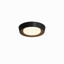 Haugrud | Ceiling Mounted Light