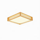Iselwyn | Ceiling Mounted Light
