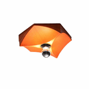 Selwenra I Ceiling Mounted Light