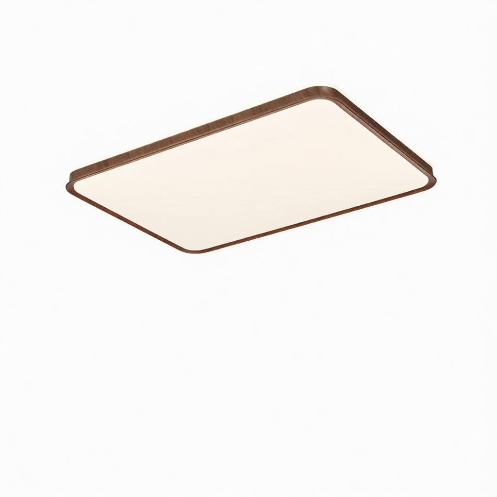 Morvynna R | Ceiling Mounted Light - Modern Lighting Fixture | HomeCartel Philippines