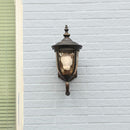 Aelzoria | Outdoor Wall Light