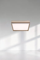 Pothast B | Ceiling Mounted Light