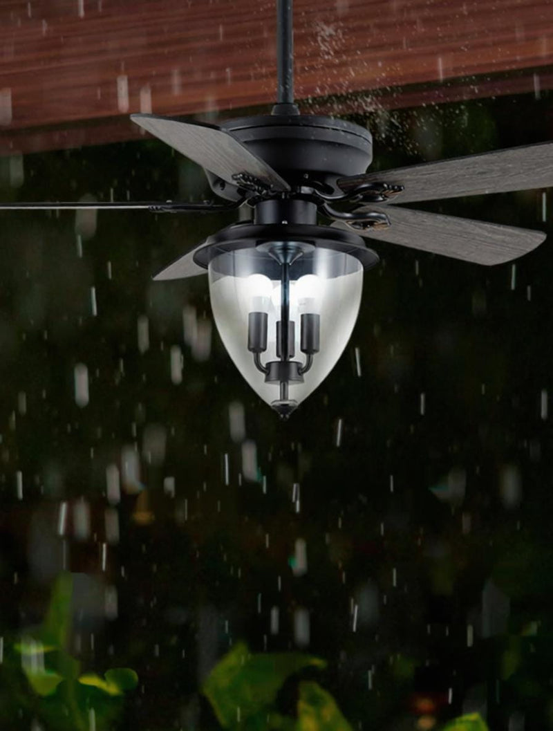 Erynd | Outdoor Lighted Ceiling Fan