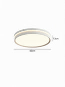 Alker Une | Ceiling Mounted Light