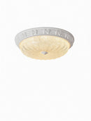Lefeld | Ceiling Mounted Light