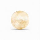 Mirenvee B | Floor Lamp