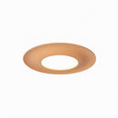 Elyvaris B | Ceiling Mounted Light