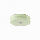 Myrenra | Ceiling Mounted Light