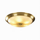 Erynvel Une | Ceiling Mounted Light