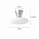 Landric | Semi Flush Mounted Light