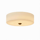 Elyraeon C | Ceiling Mounted Light
