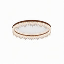 Veylissia | Ceiling Mounted Light