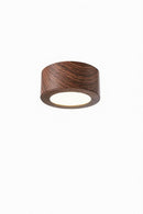 Serindil Deux I Ceiling Mounted Light
