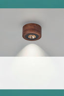 Brynvalien | Surface Mounted Light